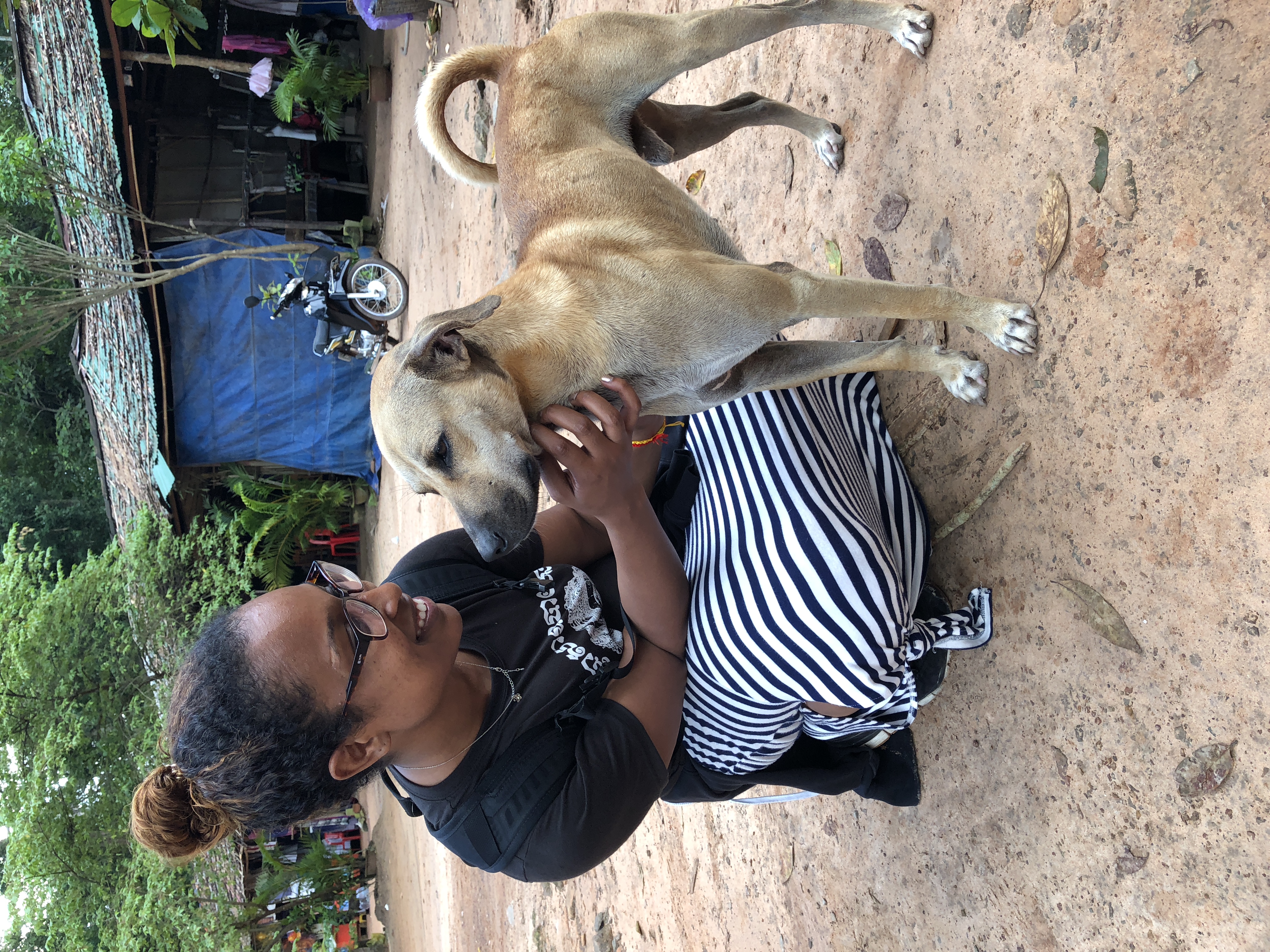 visiting angkor wat with dog