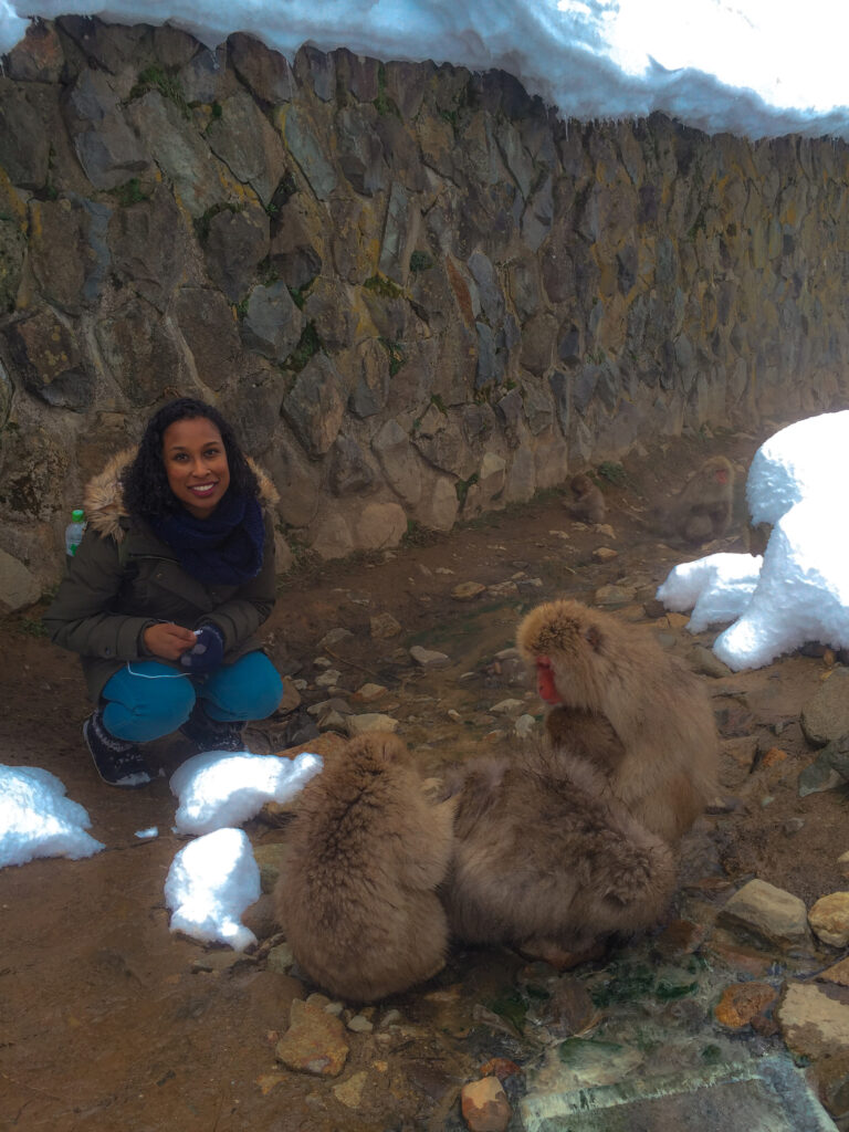 jigokudani Monkey Park Japan