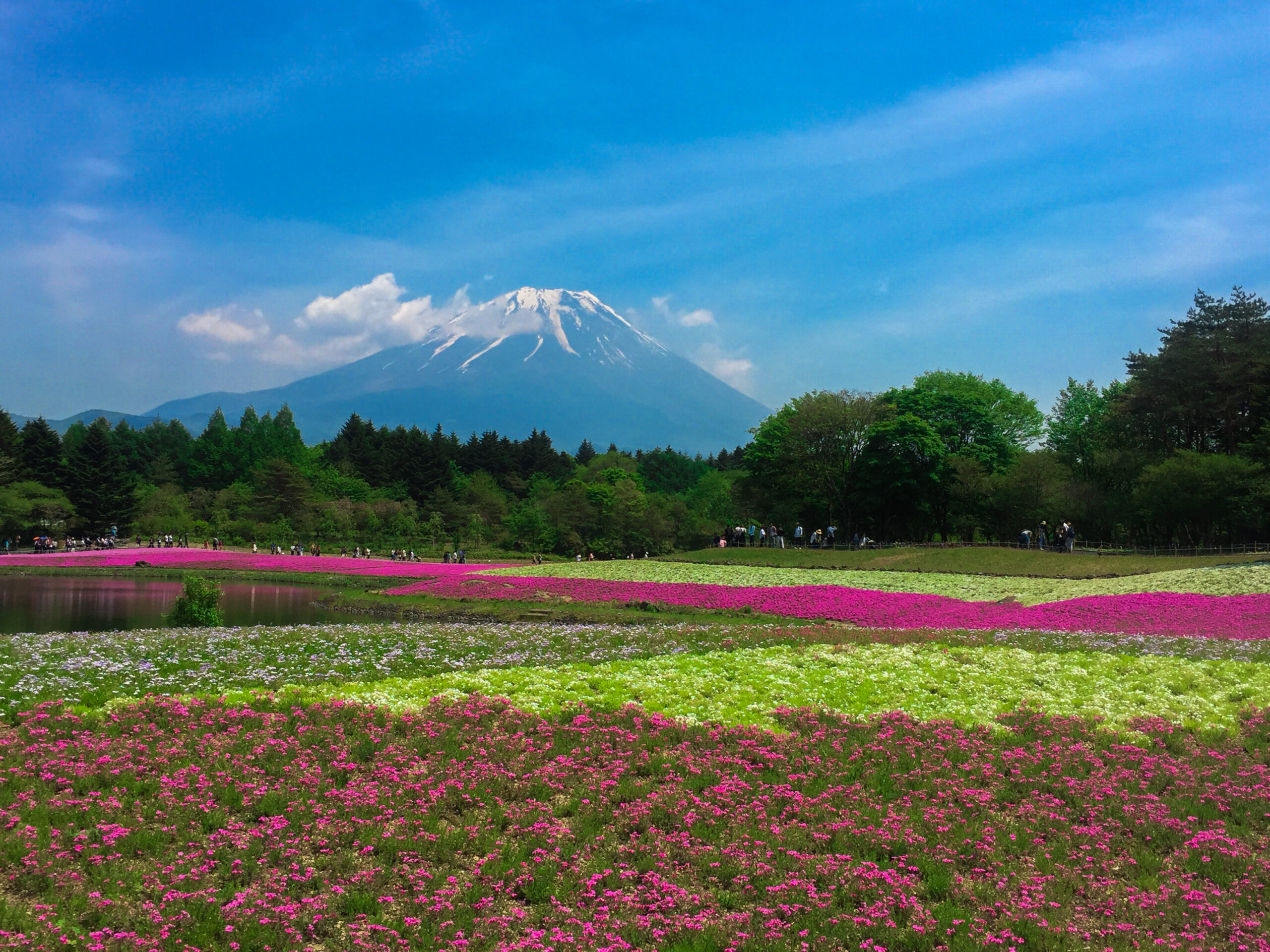 beginner's guide to learning Japanese While Living in Japan
