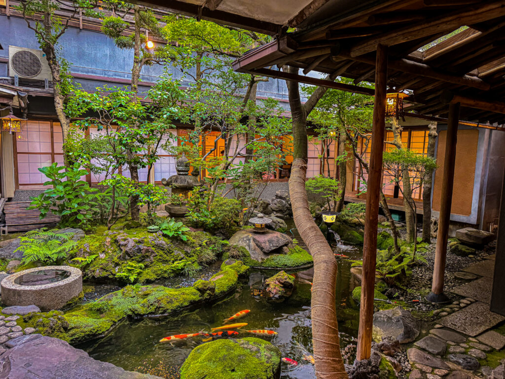 beginners guide to learning Japanese