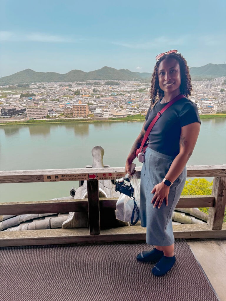 views from the top of Inuyama Castle 犬山城