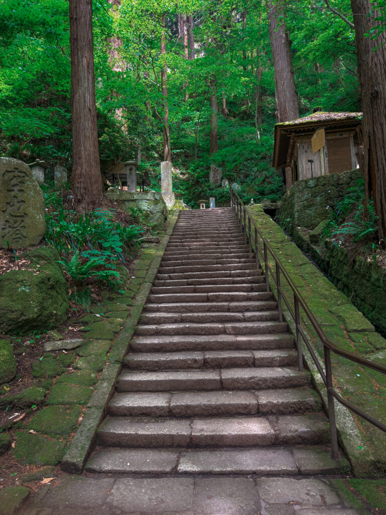 Ancient stone steps winding upward through a dense cedar forest and moss-covered rock walls at Yamadera
