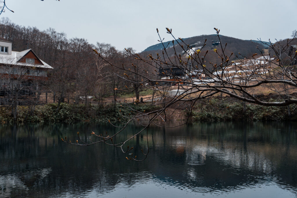 Serene view of the emerald green waters at Dokkonuma Pond  in Zao Onsen